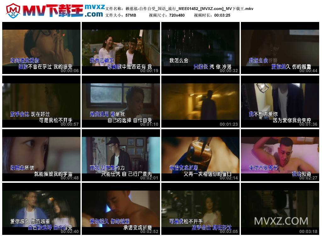 赖慈泓-自作自受_国语_流行_MEE01452